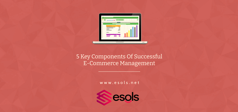 5 Key Components Of Successful E-Commerce Management