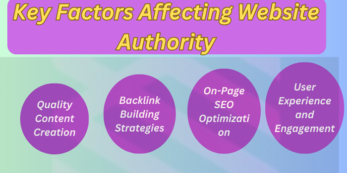 Key Factors Affecting Website Authority